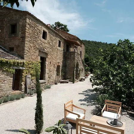 La Saru